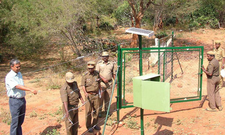 Solar fencing to prevent man-animal conflicts